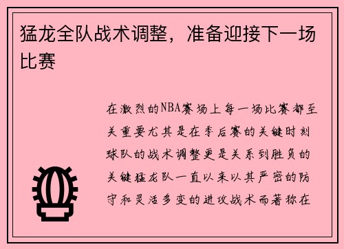 猛龙全队战术调整，准备迎接下一场比赛