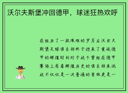 沃尔夫斯堡冲回德甲，球迷狂热欢呼